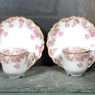 Antique Elite Works Limoges Demitasse Set of 2 Cups and Saucers | Pink Fruit Blossom and Gold Pattern | French Porcelain 