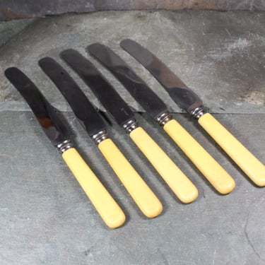 Set of 5 Dinner Knives  S. Pearson & Co. | Sheffield England | Holiday Table | Bixley Shop 