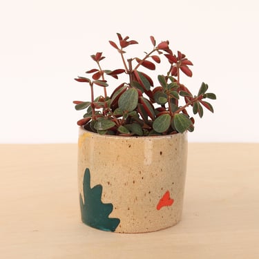 3 Inch Colorful Planter | Modern Ceramic Plant Pot | Cactus Planter | Indoor Succulent Vessel 