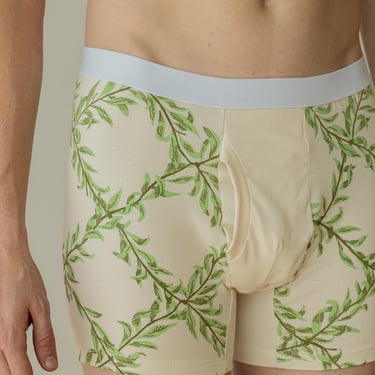 Organic Boxer Briefs, Mens Underwear, Screen Printed Briefs, Willow Branch Pattern, Made in Detroit, Unisex Clothing 