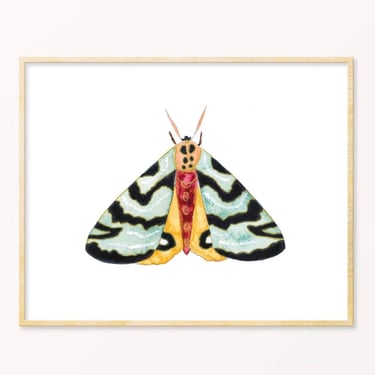Snoogs &amp; Wilde Art | Moth #11