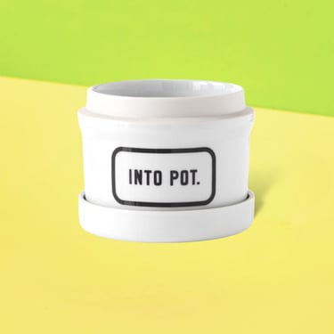 Into Pot Mini Planter with Drip Tray