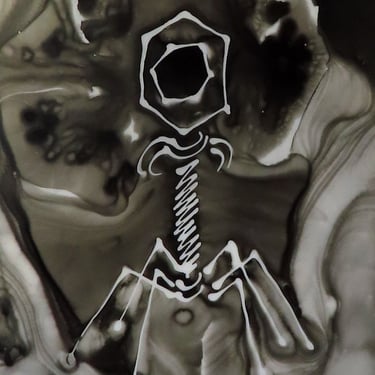 Black Bacteriophage: Ink painting on Yupo (poly paper) Science Art 