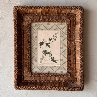 Gusto Woven Frame with Phillip Miller Engraving of Round Prickly-Fruited Cucumber circa 1807
