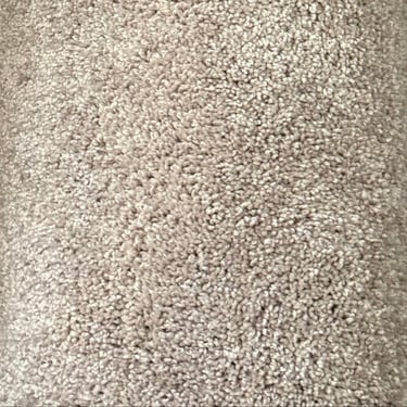 Cream Colored Surplus Carpet 15' x 12'