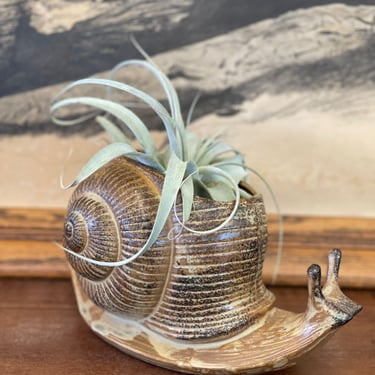 Free Shipping Within Continental US - Unique Ceramic Snail Planter 
