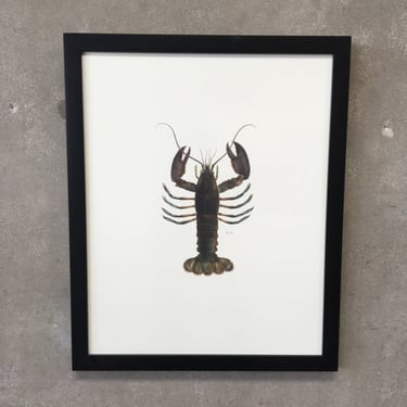 Figure 82 Lobster Print