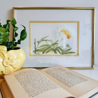 Framed Peony Art