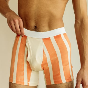 Stripe Boxer Brief, Organic Cotton Red Stripe Underwear 