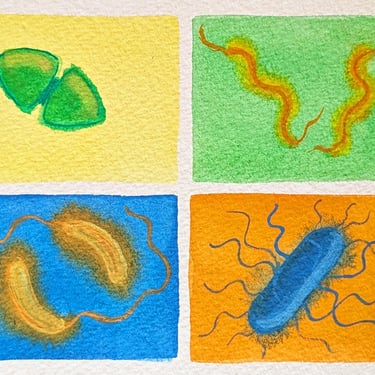 Colorful Bacteria - original watercolor painting - microbiology art 