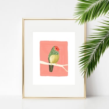 Australian Star Finch Art Print/ Small Bird Home Decor/ Animal Illustration Wall Art/ Girls Bedroom Giclee Print 