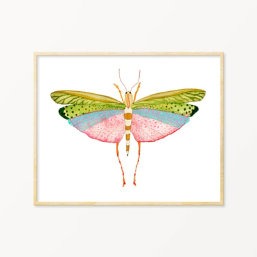 Snoogs & Wilde Art - Grasshopper #1 ~ Art Print