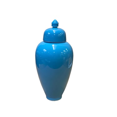 Bright Blue Glaze Porcelain Fine Finish Point Lid Jar ws2714E 