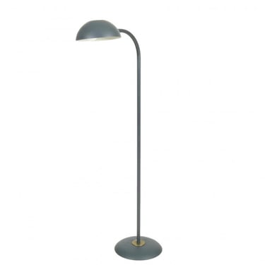 Adjustable Head Floor Lamp