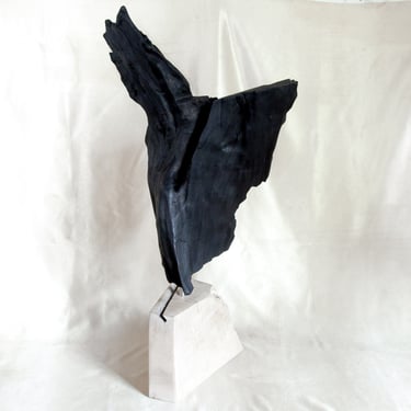 Organic Modern Shou-Sugi-Ban Black and White Sculpture 