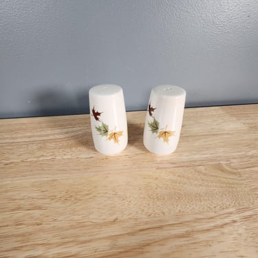 Franciscan Indian Summer Salt and Pepper Set 