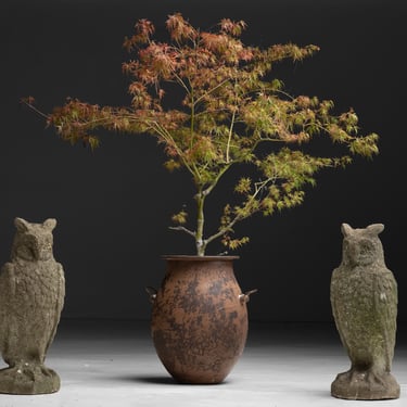 Owl Statues / Iron Pots