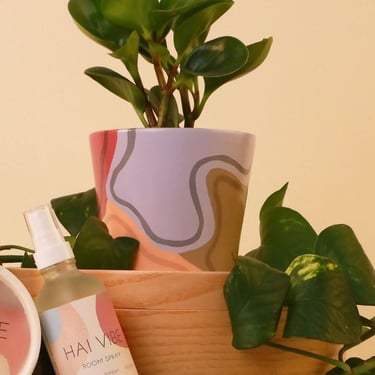 Planter Pot | Hai Vibe Design | 5” small pot 