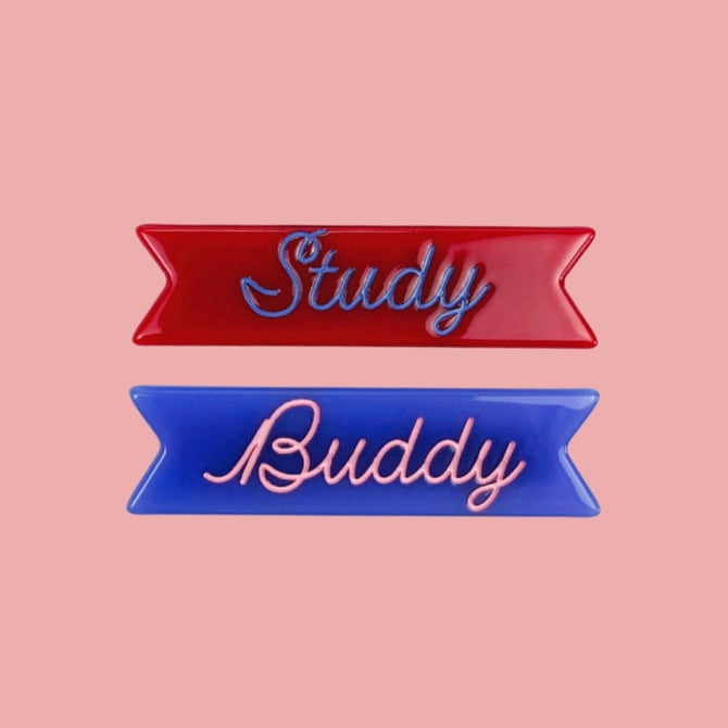Study Buddy Hair Clip Set