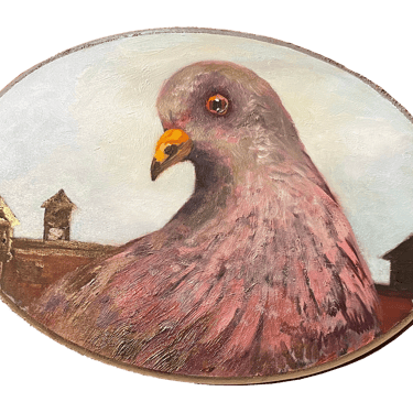 "Woodruff" Pigeon