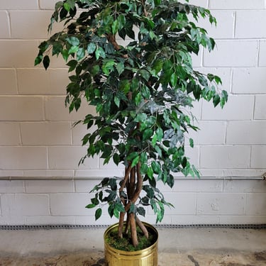 Fake Ficus in Goldtone Planter