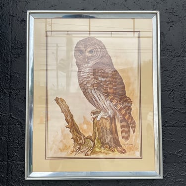 Owl Print in Chrome Frame