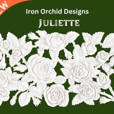 NEW Juliette Mould 6” X 10” IOD