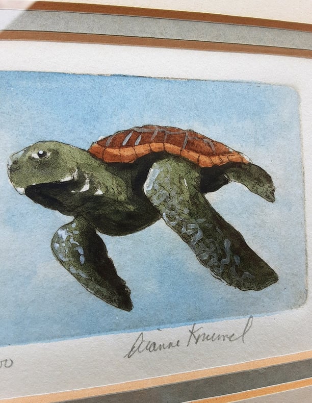 Sea Turtle Watercolor By Dianne Krumel - Gulf Coast Artist