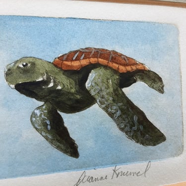 Sea Turtle Watercolor By Dianne Krumel - Gulf Coast Artist