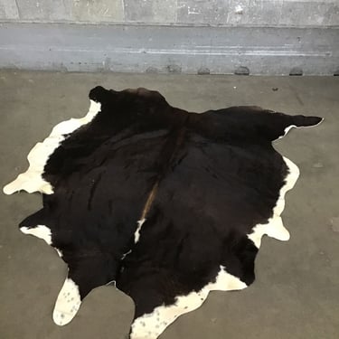 Beautiful Cow Hide (Seattle)