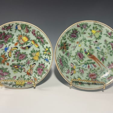 Antique 19th Century - Set of 11 Decorative Plates - Chinese Porcelain 