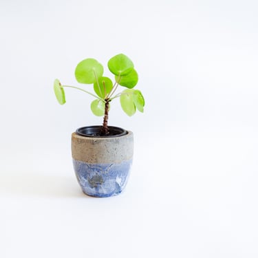 Blue Vintage Handcrafted Planter, Artisan Plant Pot 