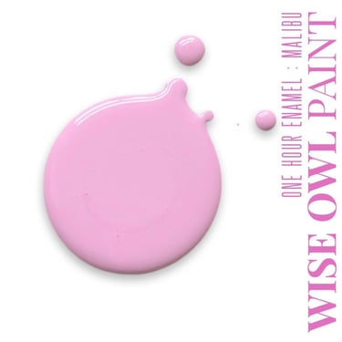 MALIBU Limited Edition Wise Owl One Hour Enamel OHE Barbie Pink