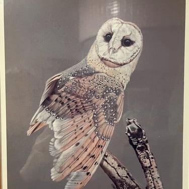 Vintage Original Owl Art Print by Judith Jamieson 