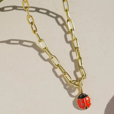 Ladybug Charm