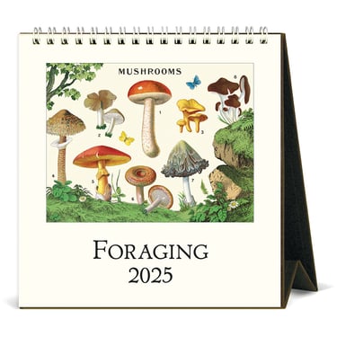 2025 Vintage Art Desk Calendar, multiple styles