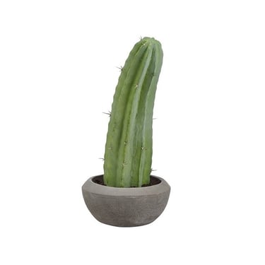 19" Column Cactus in Cement Pot