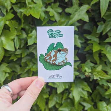 Milk Frog Pin