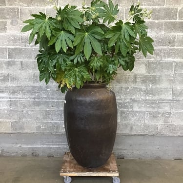 Large & In Charge Planter w/ Tree (Seattle)