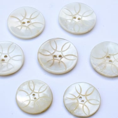 Set of 7 Antique Victorian Incised Pearly White Mother of Pearl Buttons - Mother Daughter Matching Set 