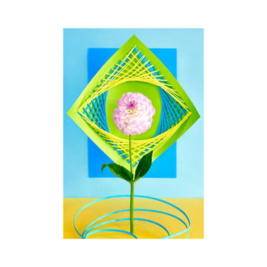 Still Life With Dahlia Flower & Yarn: Floral Photo, Modern Art, Geometric Floral, Abstract Art, Decorative, Fine Art, Geometric Art, Dahlia 