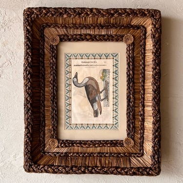 Gusto Woven Frame with Aldrovandi Hand-Colored Ornithological Engraving XXI
