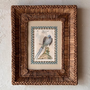 Gusto Woven Frame with Aldrovandi Hand-Colored Ornithological Engraving XLIV