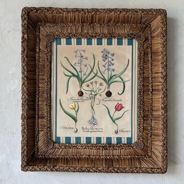 17th C. Hand Colored Besler Engraving of Frittillaria in Gusto Woven Frame XI