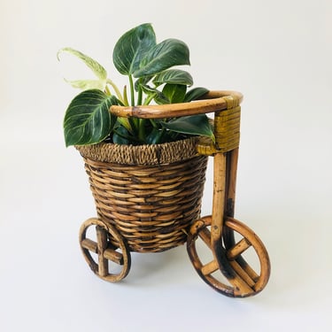 Vintage Rattan Bicycle Plant Basket 