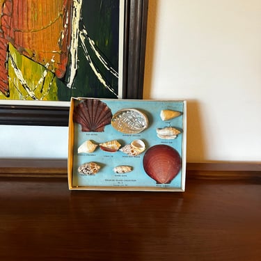 Boxed Set Shell Collection 