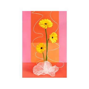 Sunflowers with Orange Squares: Still Life, Fine Art Photography, Archival Print, Giclée Print, Floral Print, Modern Art, Decorative Art 