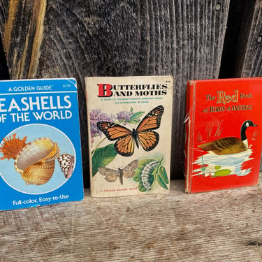 Vintage Reference Books -- Vintage Nature Books -- Nature Books - Golden Guide Books - Vintage Golden Guide - Seashell Book - Butterfly Book 
