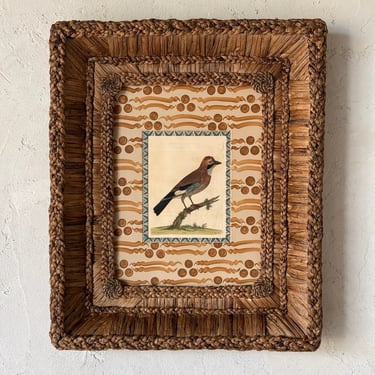 18th C. Eleazar Albin Handcolored Ornithological Engraving in Gusto Wo​ven Frame II