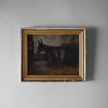 Portrait of a Mule